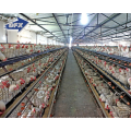 Africa cheap steel structure farm house galvanized  corrugated steel sheet wall chicken house Poultry shed steel frame Building